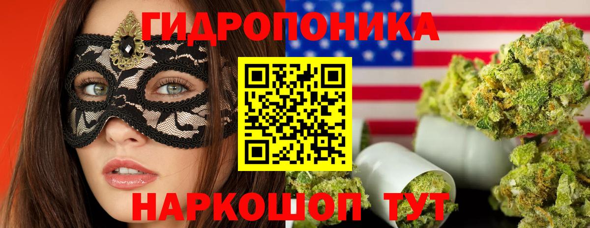 Бошки Шишки сатива  Бошки марихуана планчик  Вход с VPN  Златоуст 